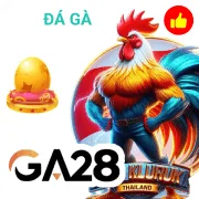 j9bet Game 09